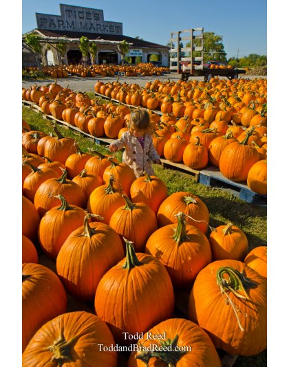 Picking Time