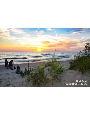 Evening Grace