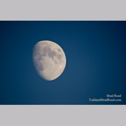 Moon Glow