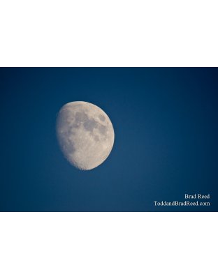 Moon Glow