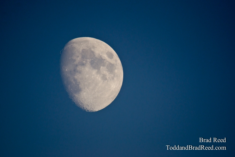 Moon Glow