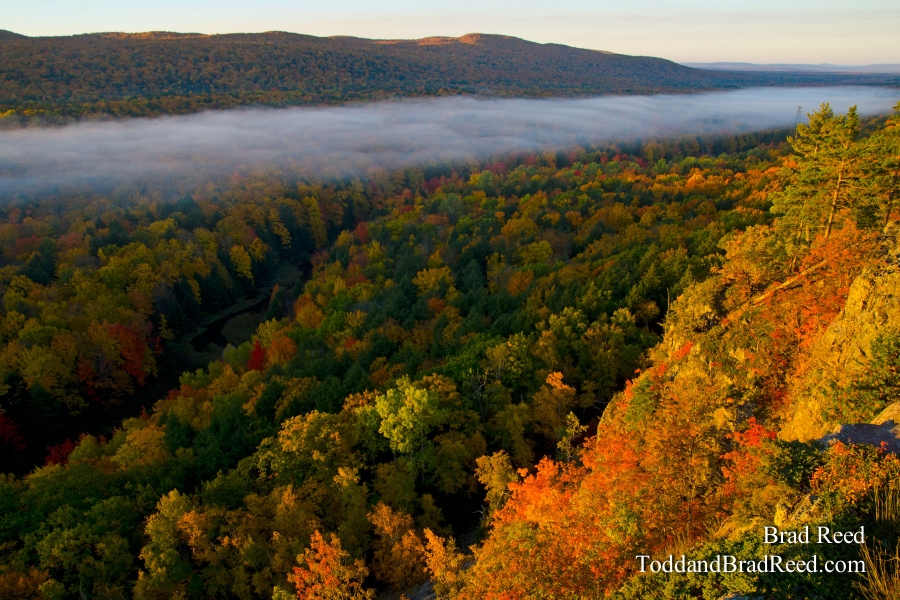 Gods Colorful Creation