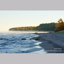 Superior Morning