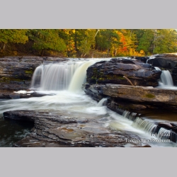 Porcupine Fall