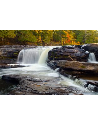 Porcupine Fall