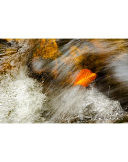 Rapids Ride