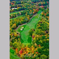 Come Golf Hemlock