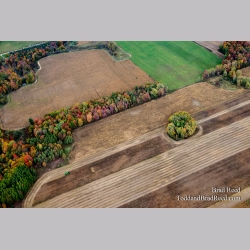 The Romance of Farming