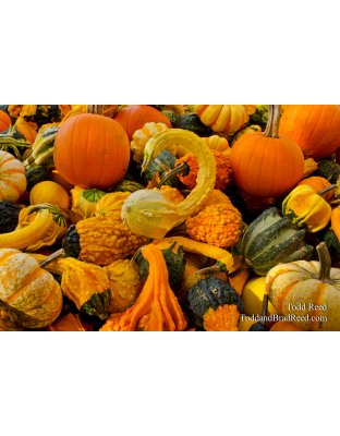 Gourd Horde