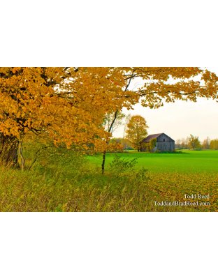 Farm Lane
