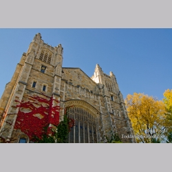 U of M Law School