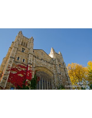 U of M Law School