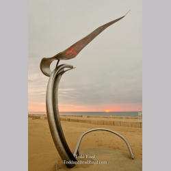 Sunset Catcher