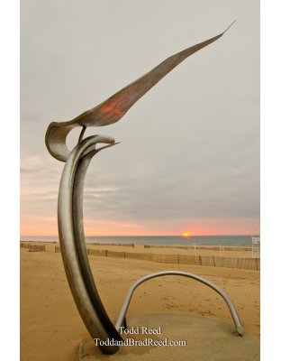 Sunset Catcher