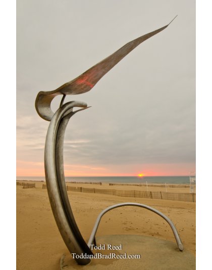 Sunset Catcher