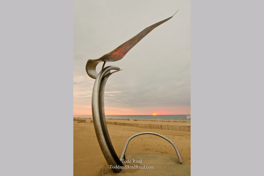 Sunset Catcher