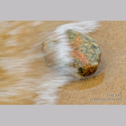Washed Ashore