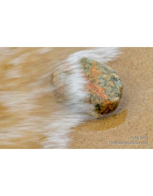 Washed Ashore