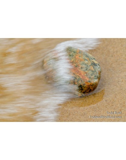 Washed Ashore