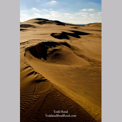 Sculpted Dunes