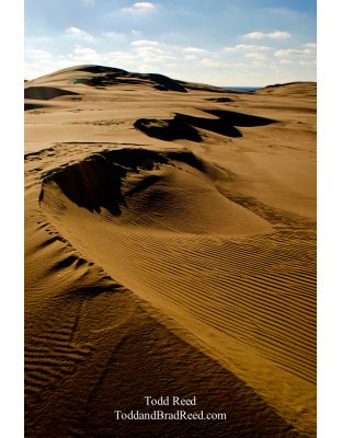 Sculpted Dunes