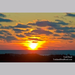 Sun Fall