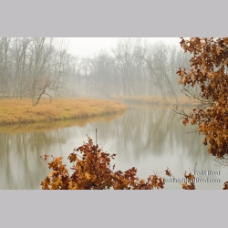 Dreamy River