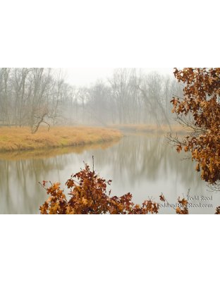 Dreamy River