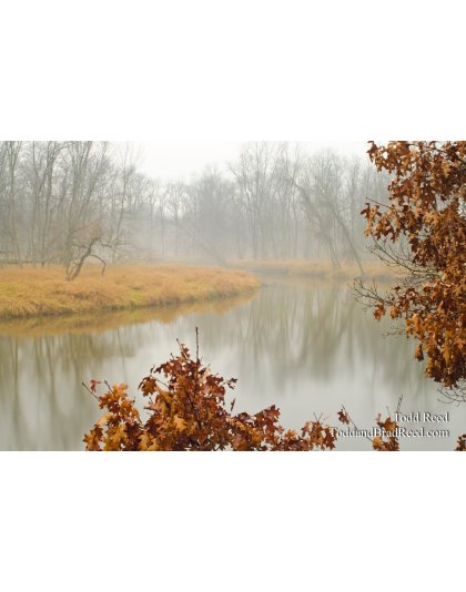 Dreamy River