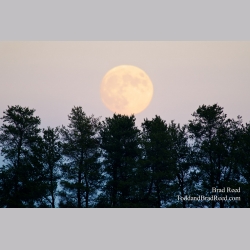 Moon Over Mesick