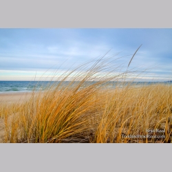 Turquoise Morning