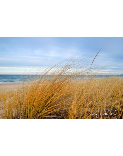 Turquoise Morning