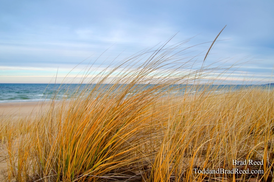 Turquoise Morning