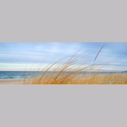 Turquoise Morning - Panoramic
