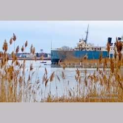 Historic Harbor