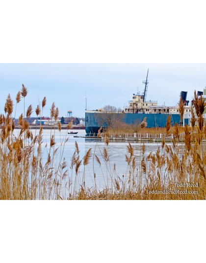Historic Harbor