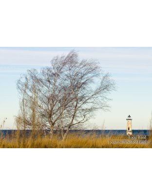 Wispy Waterfront