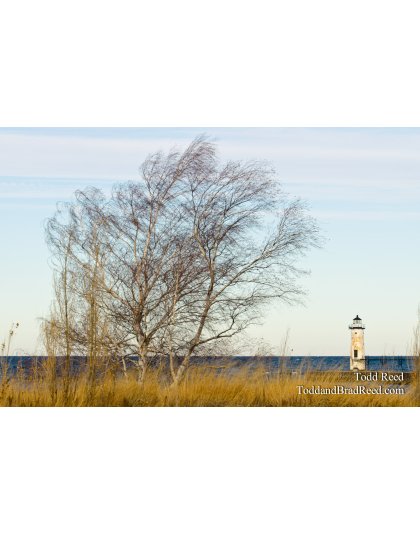 Wispy Waterfront