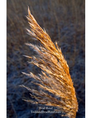 Tail Wind