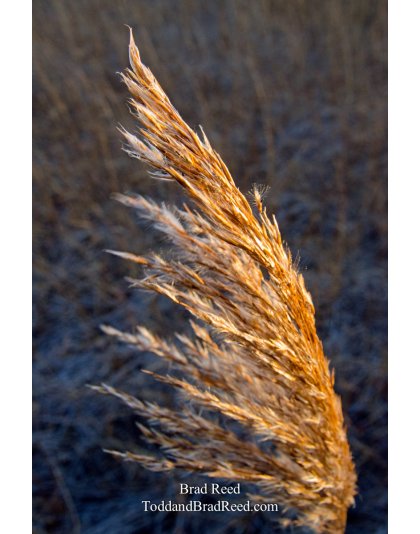 Tail Wind