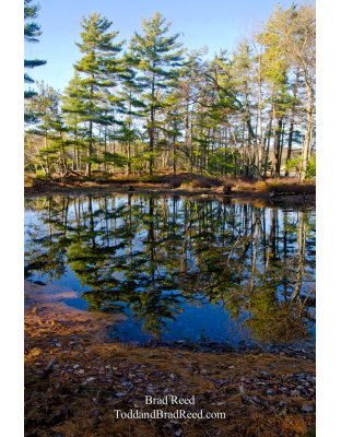 Island Trail Reflections