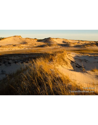 Dune Country