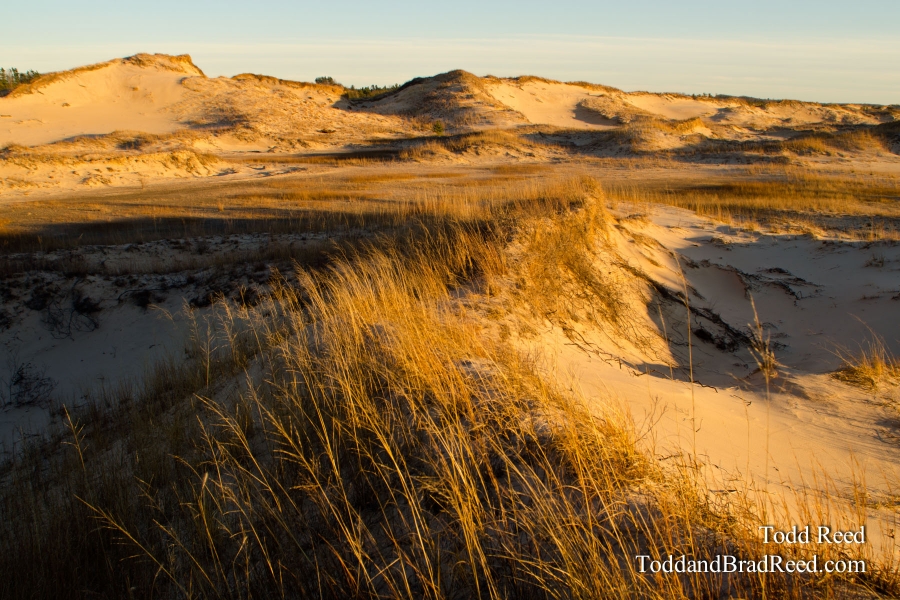 Dune Country