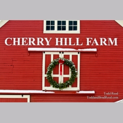 Cherry Christmas