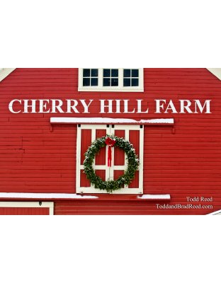 Cherry Christmas