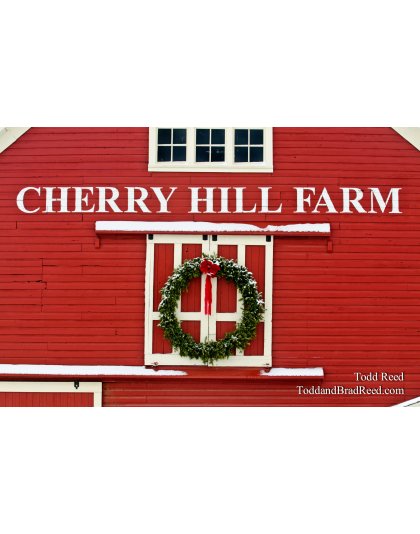 Cherry Christmas