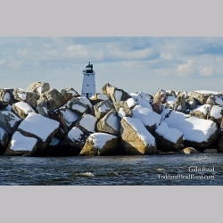 Ludington Rocks