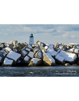 Ludington Rocks