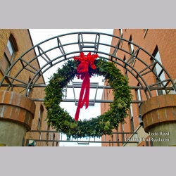Season\'s Greeting