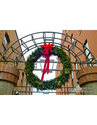 Season's Greeting